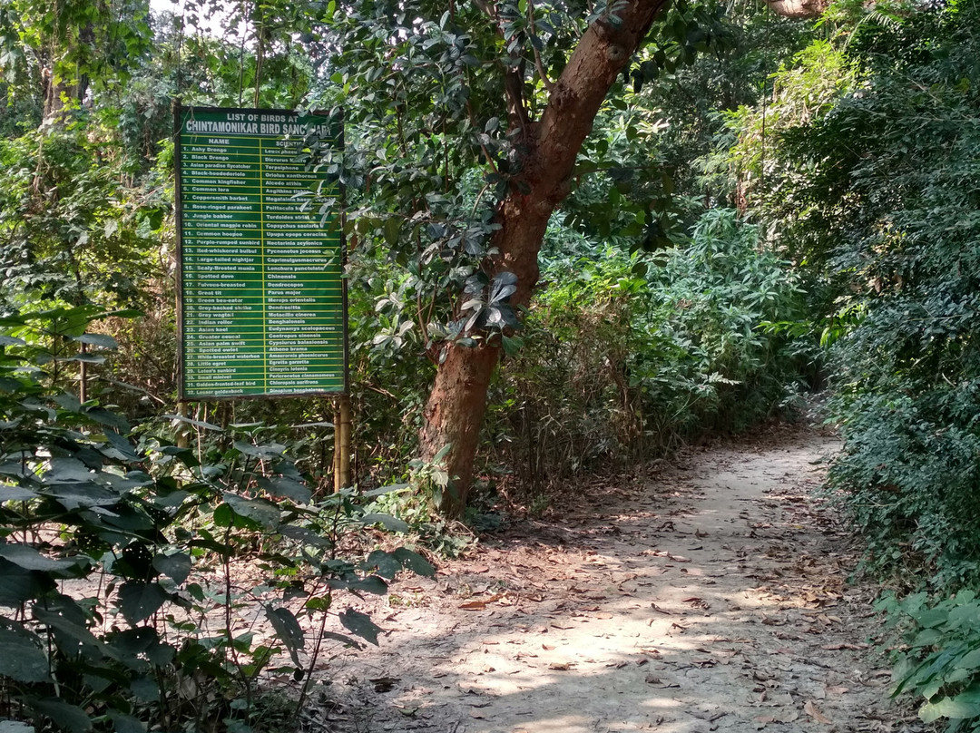 Chintamoni Kar Bird Sanctuary景点图片
