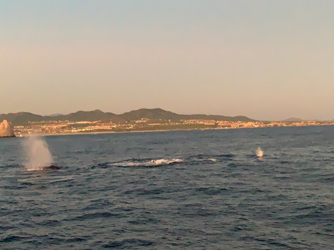 Activities Los Cabos-卡波圣卢卡斯必去景点