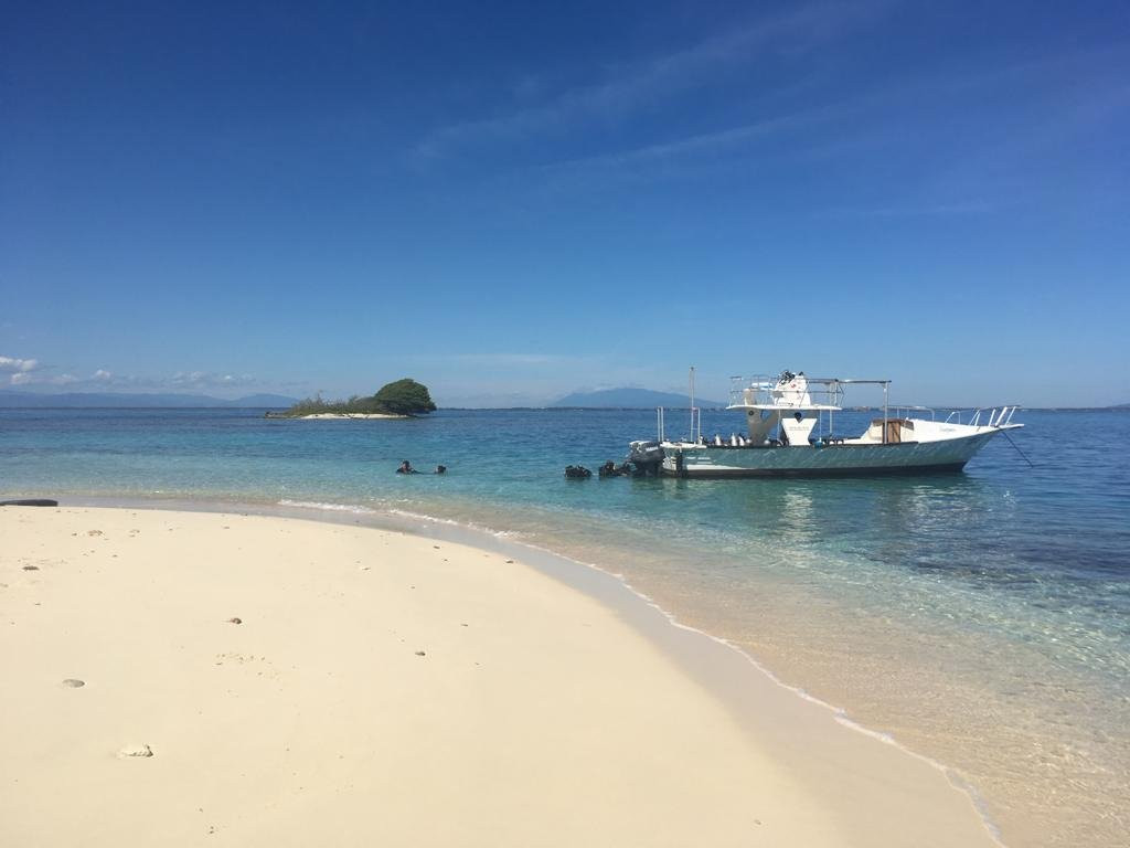 Frogman Dive Center-图卡卡斯必去景点