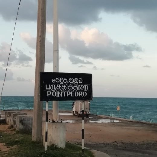 Point Pedro旅游攻略图片