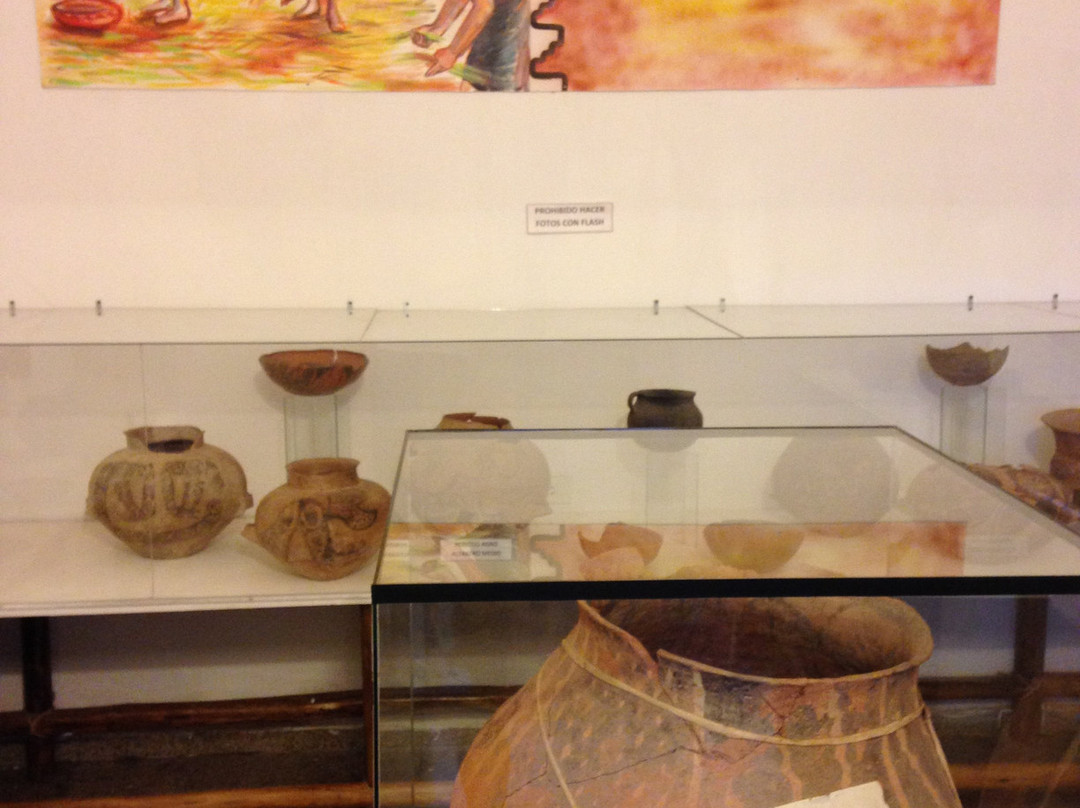 Museo Tulio Robaudi景点图片