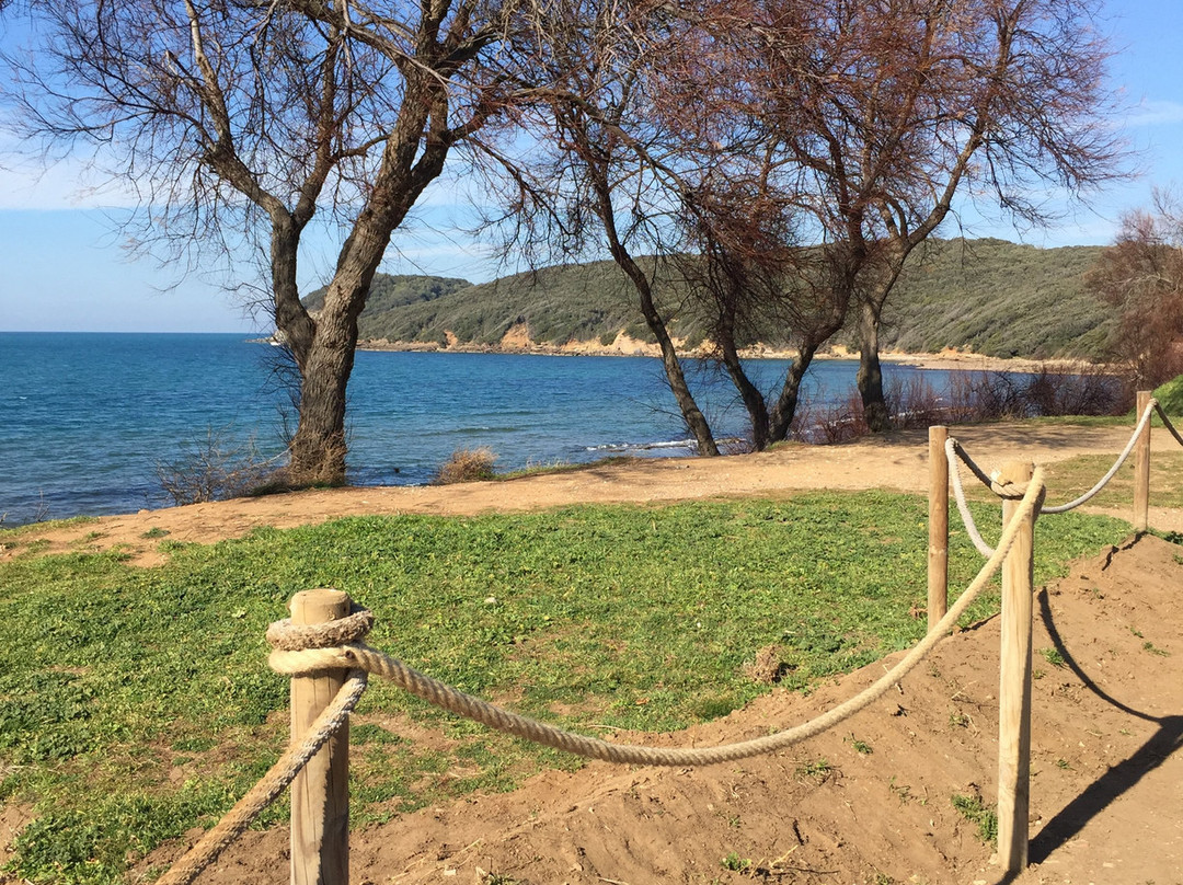 Podere Baloo主图