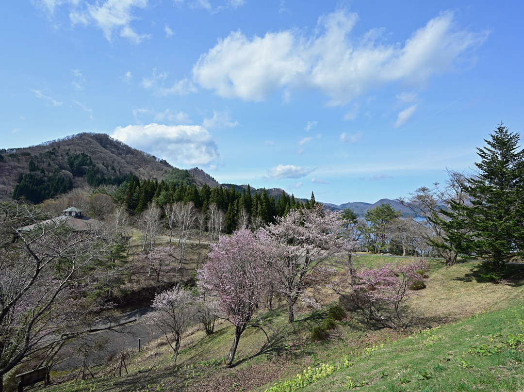 Katamaeyama Forest Park-仙北市必去景点