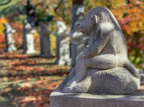 首尔奥林匹克花园酒店主图