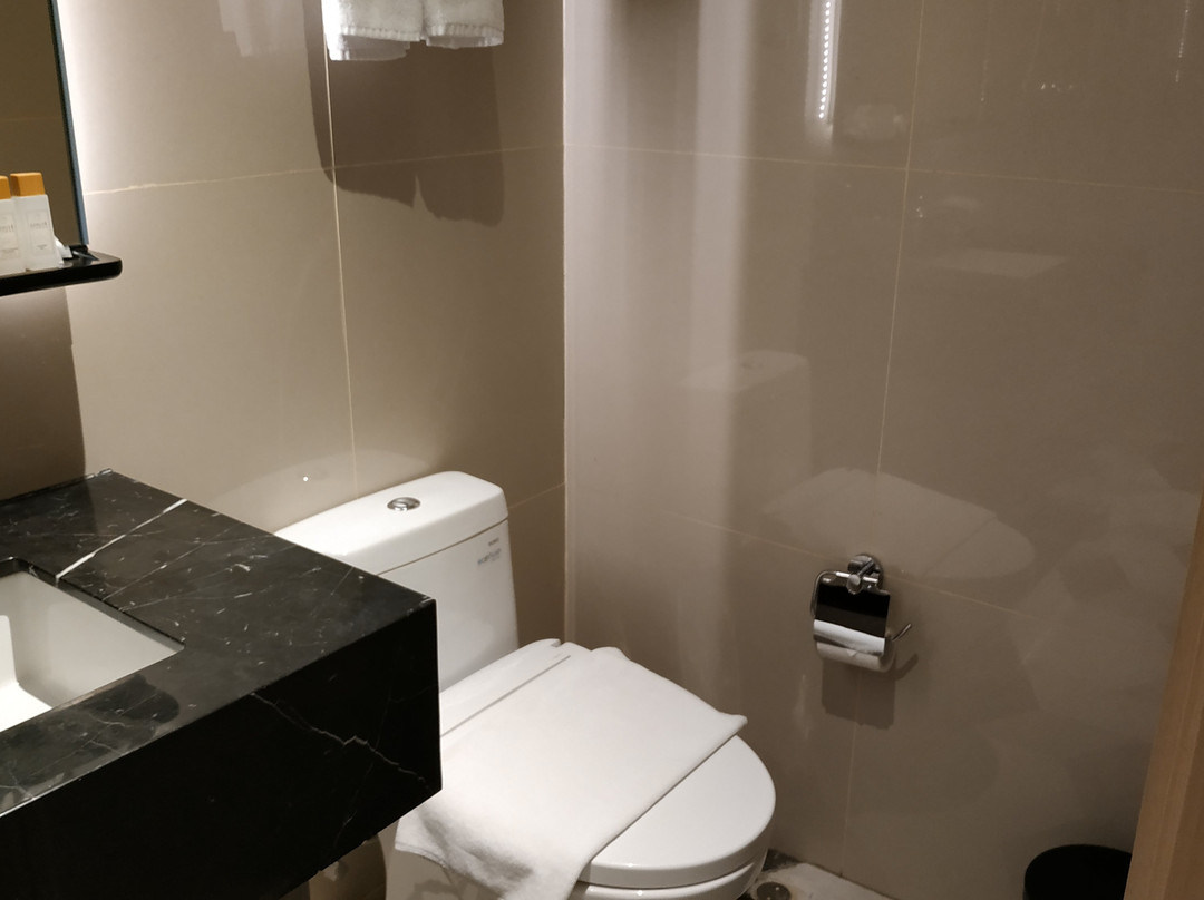 Louis Kienne Hotel Pemuda主图