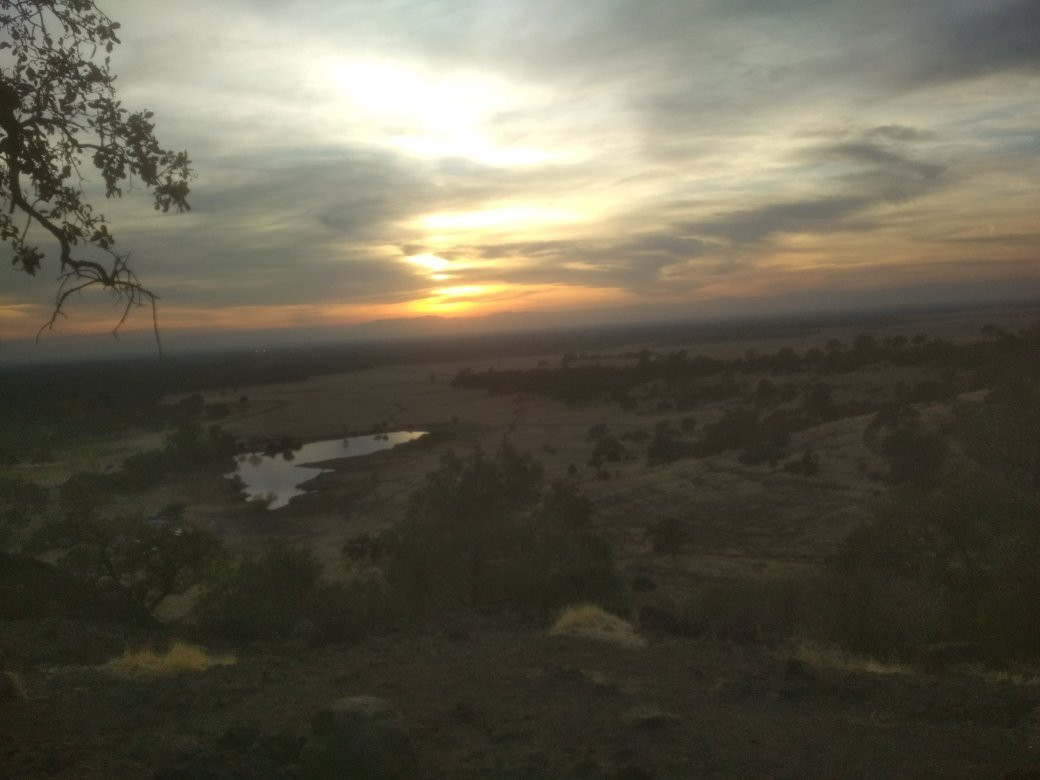 比德韦尔公园-奇科必去景点