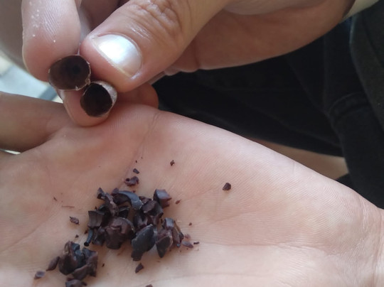 Taino Gourmet And Oliver Lab-蓬塔卡纳必去景点