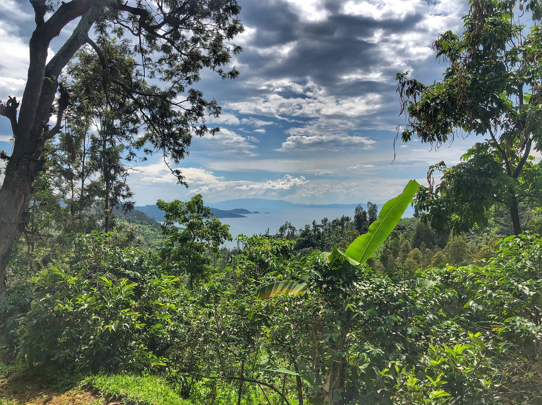 Congo Nile Trail景点图片