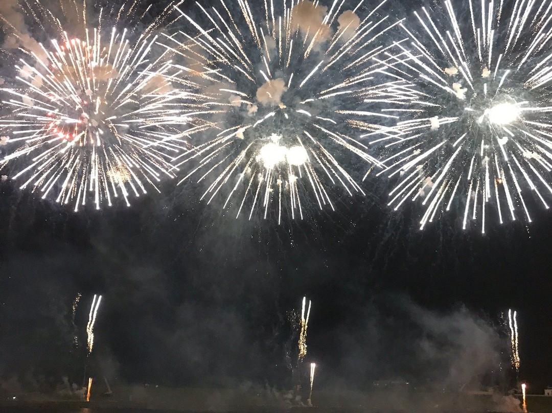 Chikugo River Fireworks-久留米市必去景点