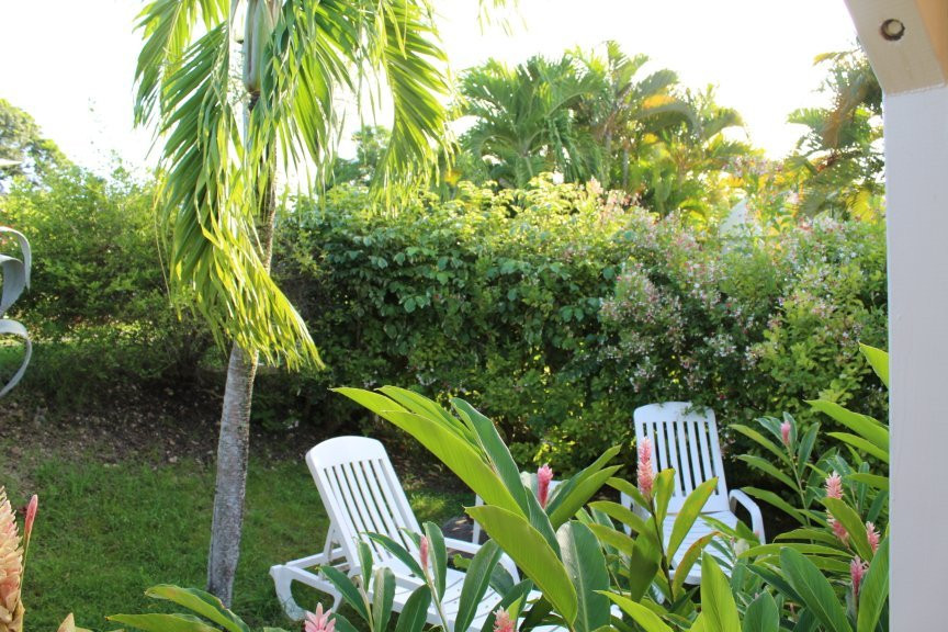 Gîte Zandoli Koko