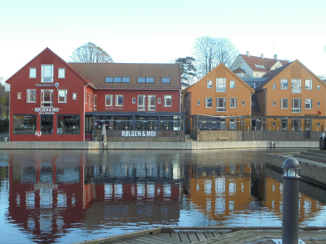 Christiansholm Festning景点图片