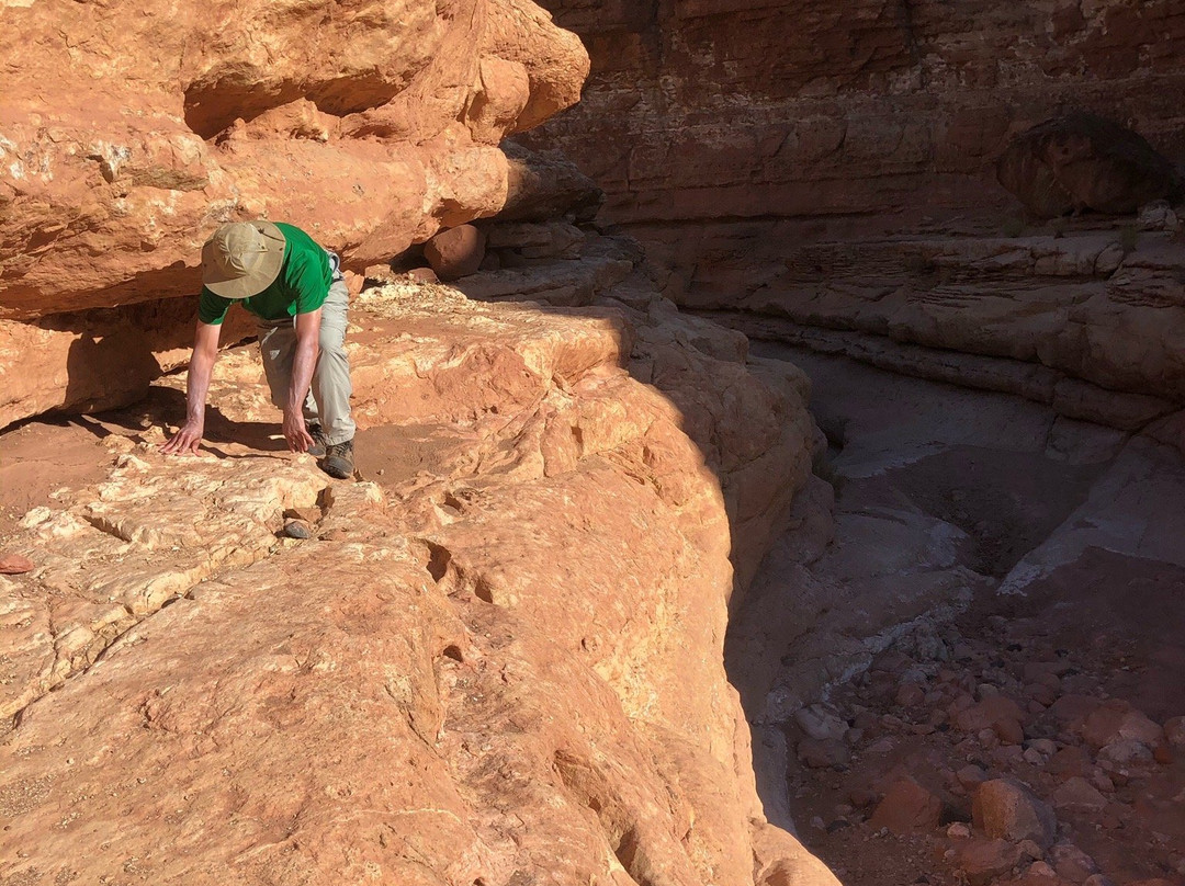 Cathedral Wash Trail-大理石峡谷必去景点