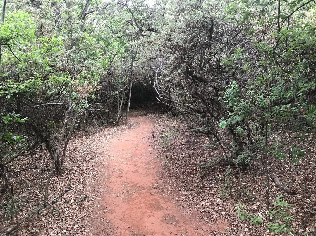 Kloofendal Nature Reserve景点图片