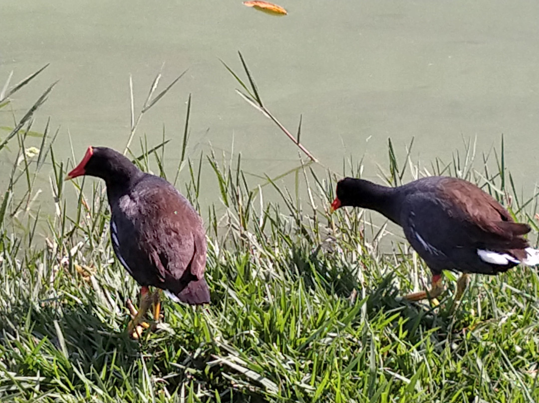 Parque das Águas-索罗卡巴必去景点