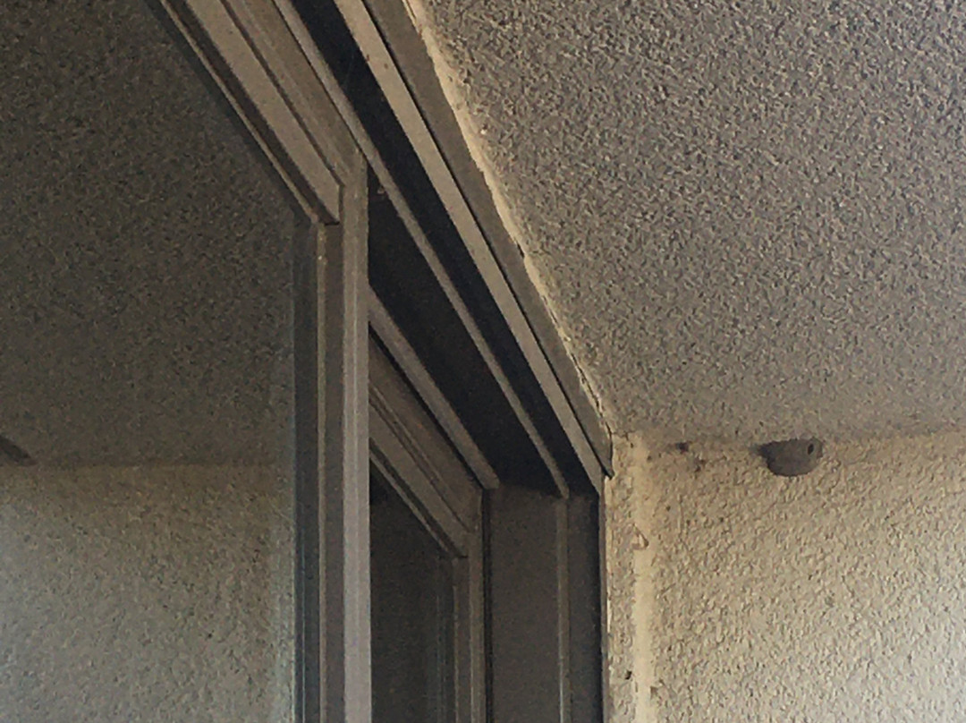 Chickasaw Retreat & Conference Center主图