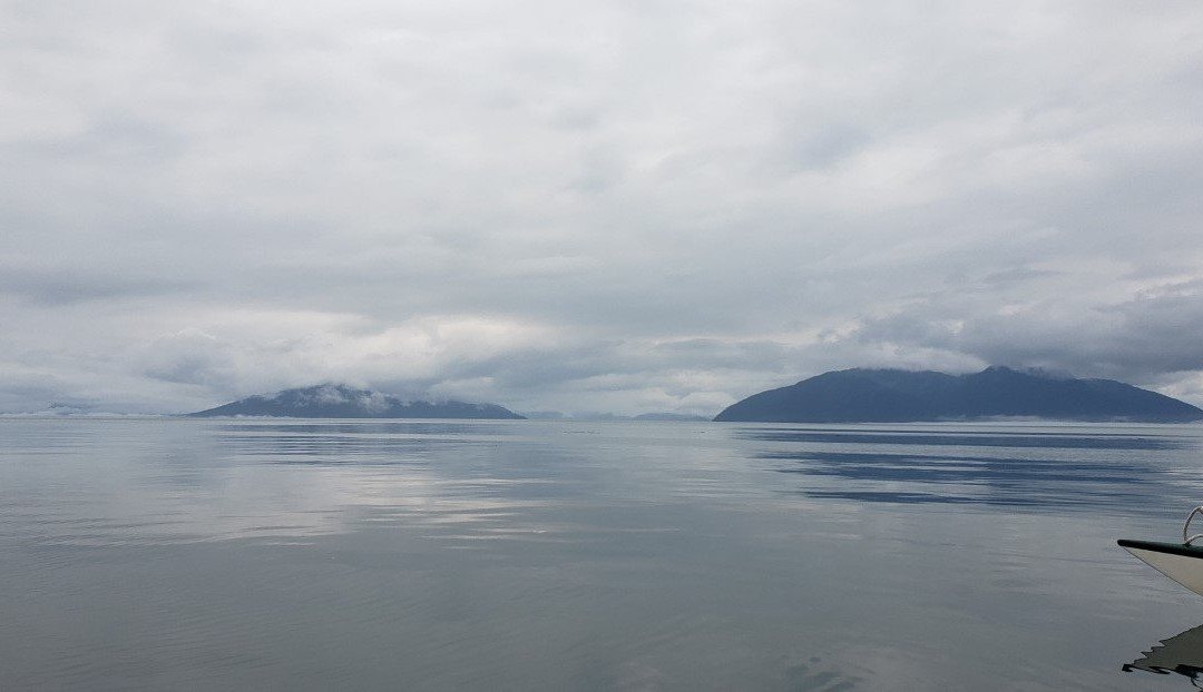 Glacier Bay Sea Kayaks景点图片