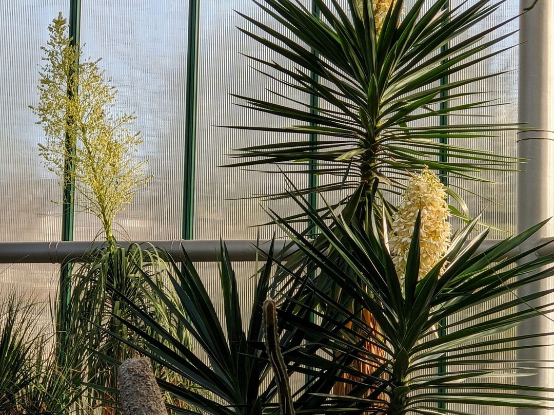 Liberec Botanical Garden-利贝雷茨必去景点