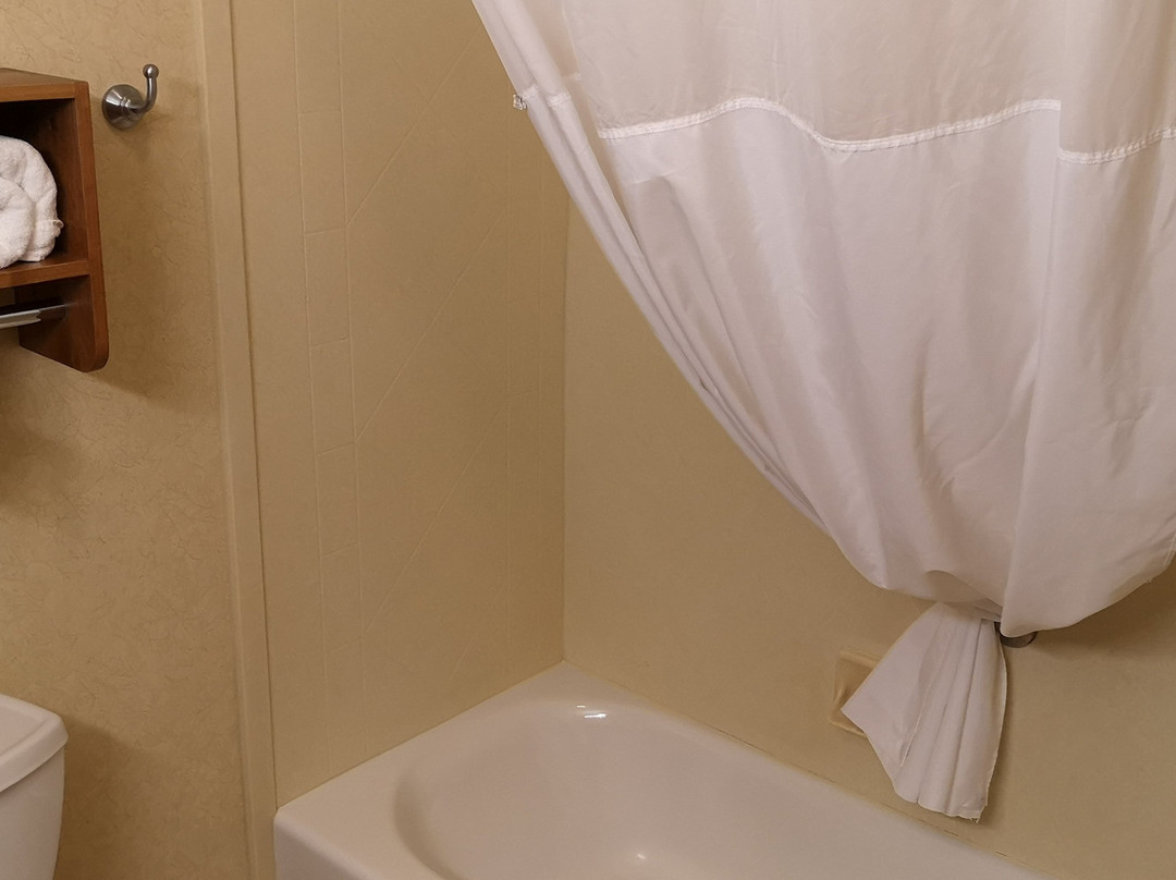 Hampton Inn & Suites Buffalo主图