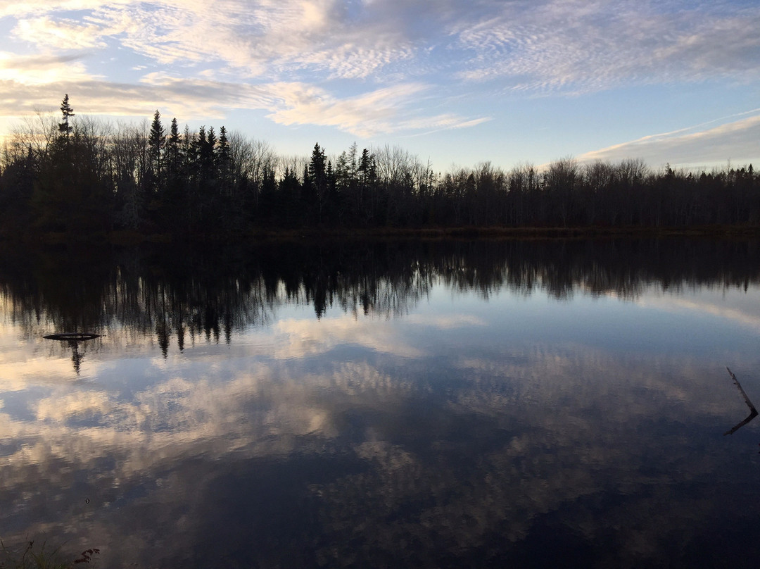 Trout Point Lodge of Nova Scotia主图