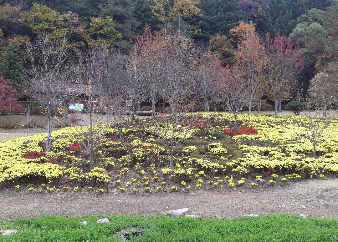 Sutasa Temple-洪川郡必去景点