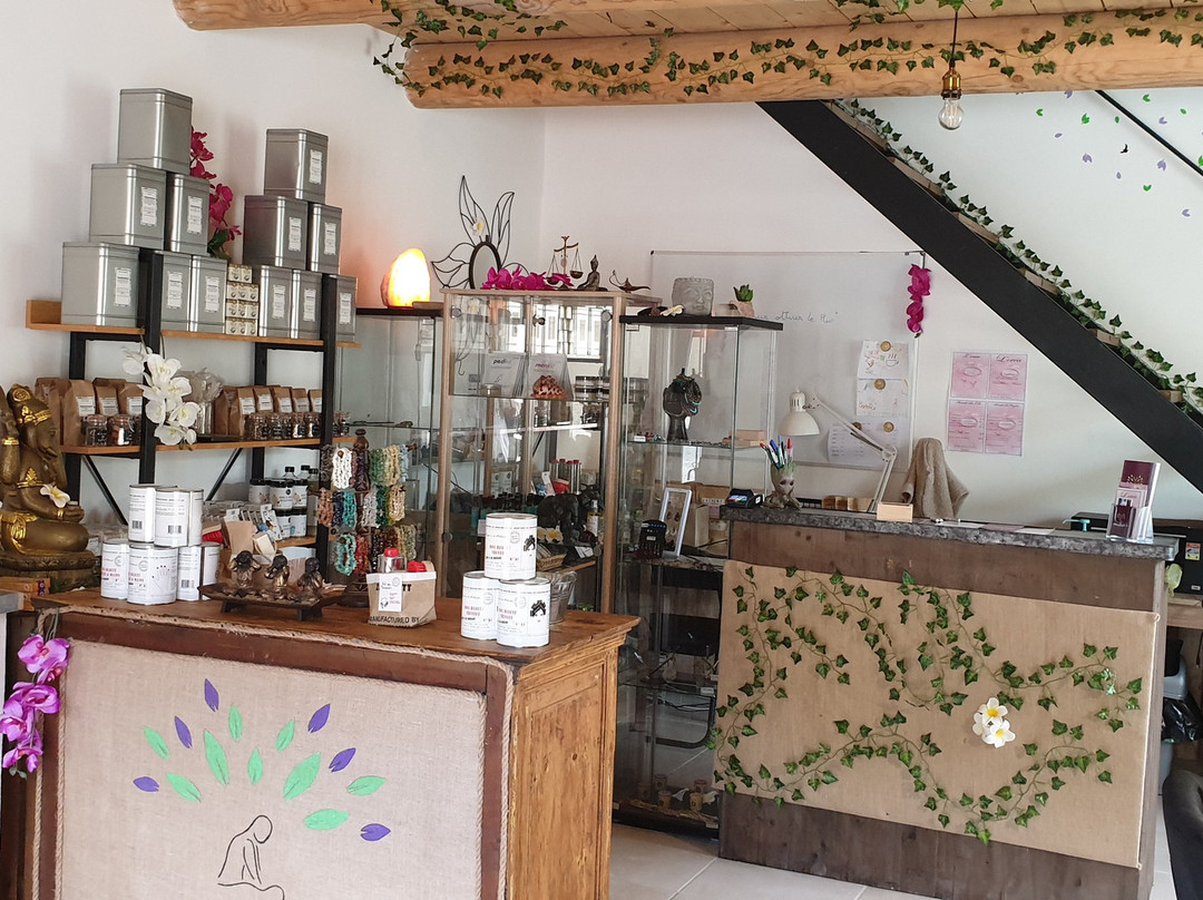 Maylice's-Mirabeau必去景点