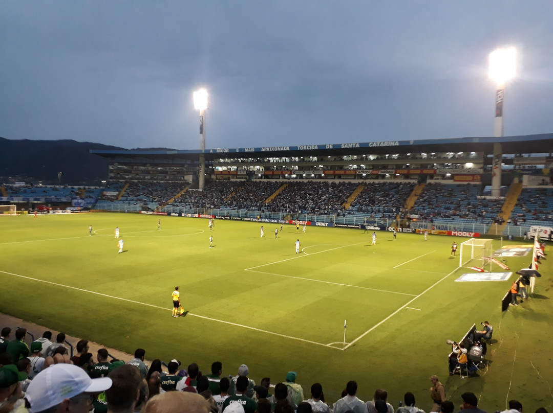 Estádio Aderbal Ramos da Silva - Ressacada景点图片