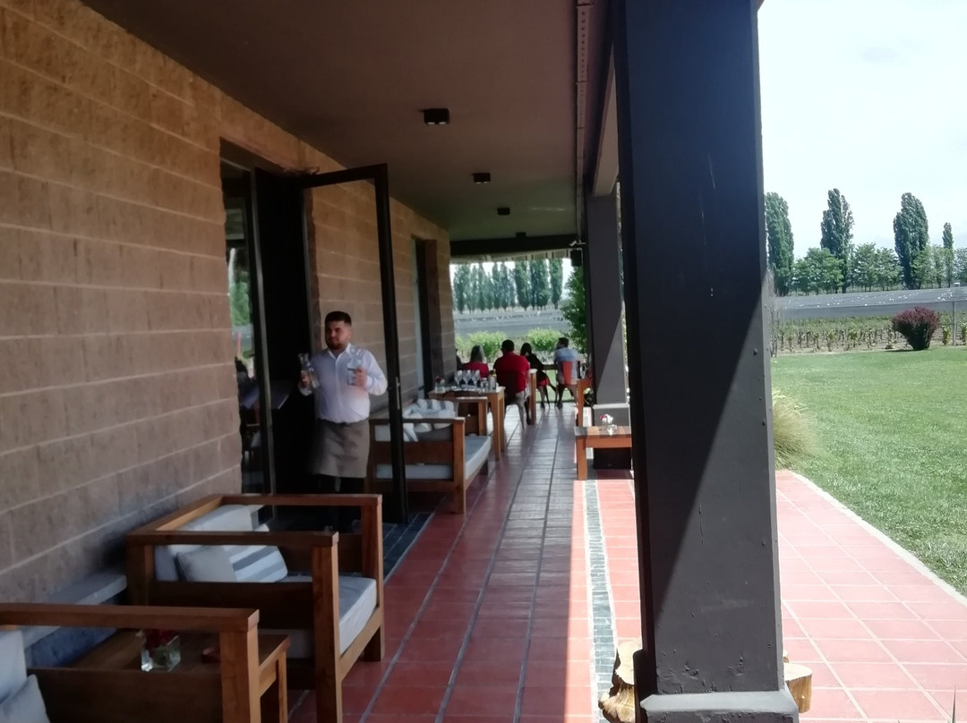 Susana Balbo Wines景点图片