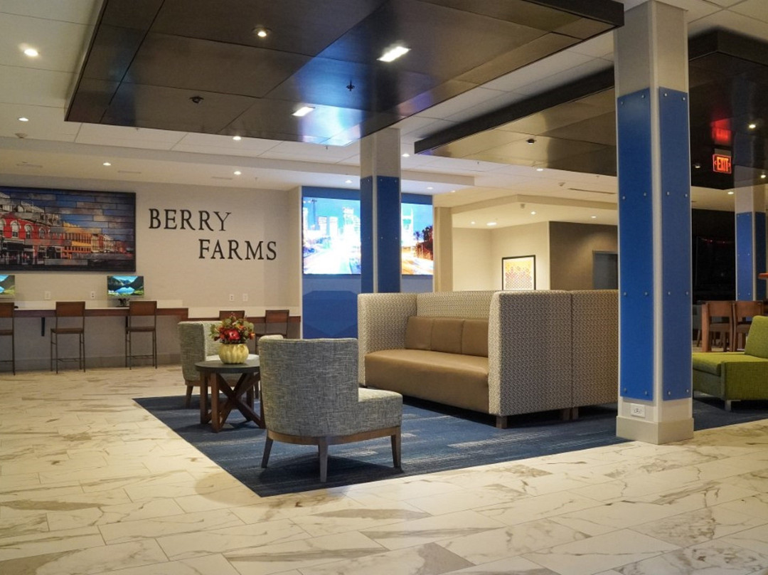 Holiday Inn Express & Suites Franklin - Berry Farms By IHG主图