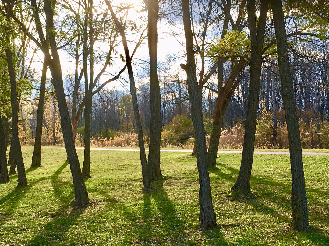 Parc de la Cité-隆格伊必去景点