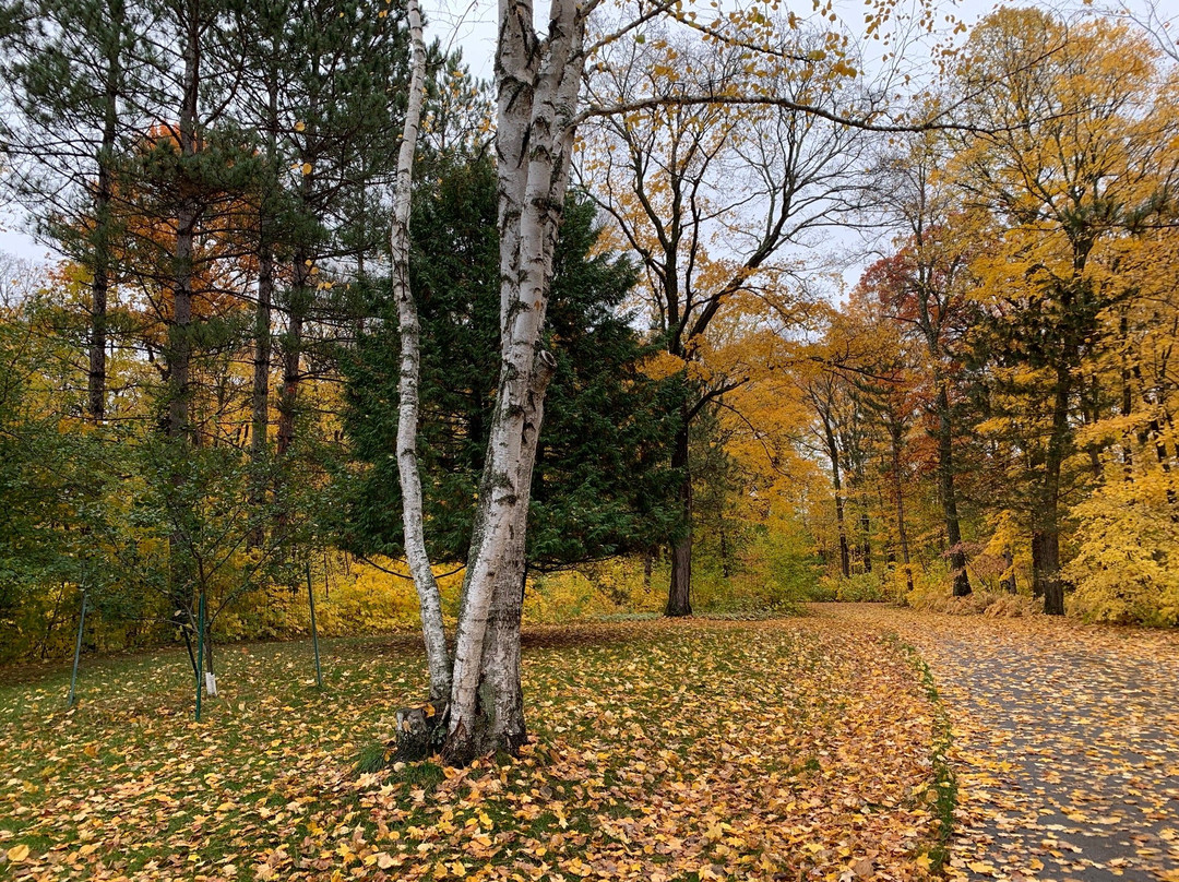 Green Heron Bed and Breakfast主图