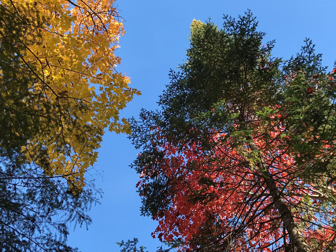 Parc de la Rivière Doncaster-Sainte-Adele必去景点