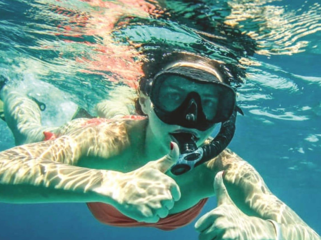Operadora de Servicios Turísticos de Aventura y Buceo Tuxpan, Ver.-Tuxpan必去景点