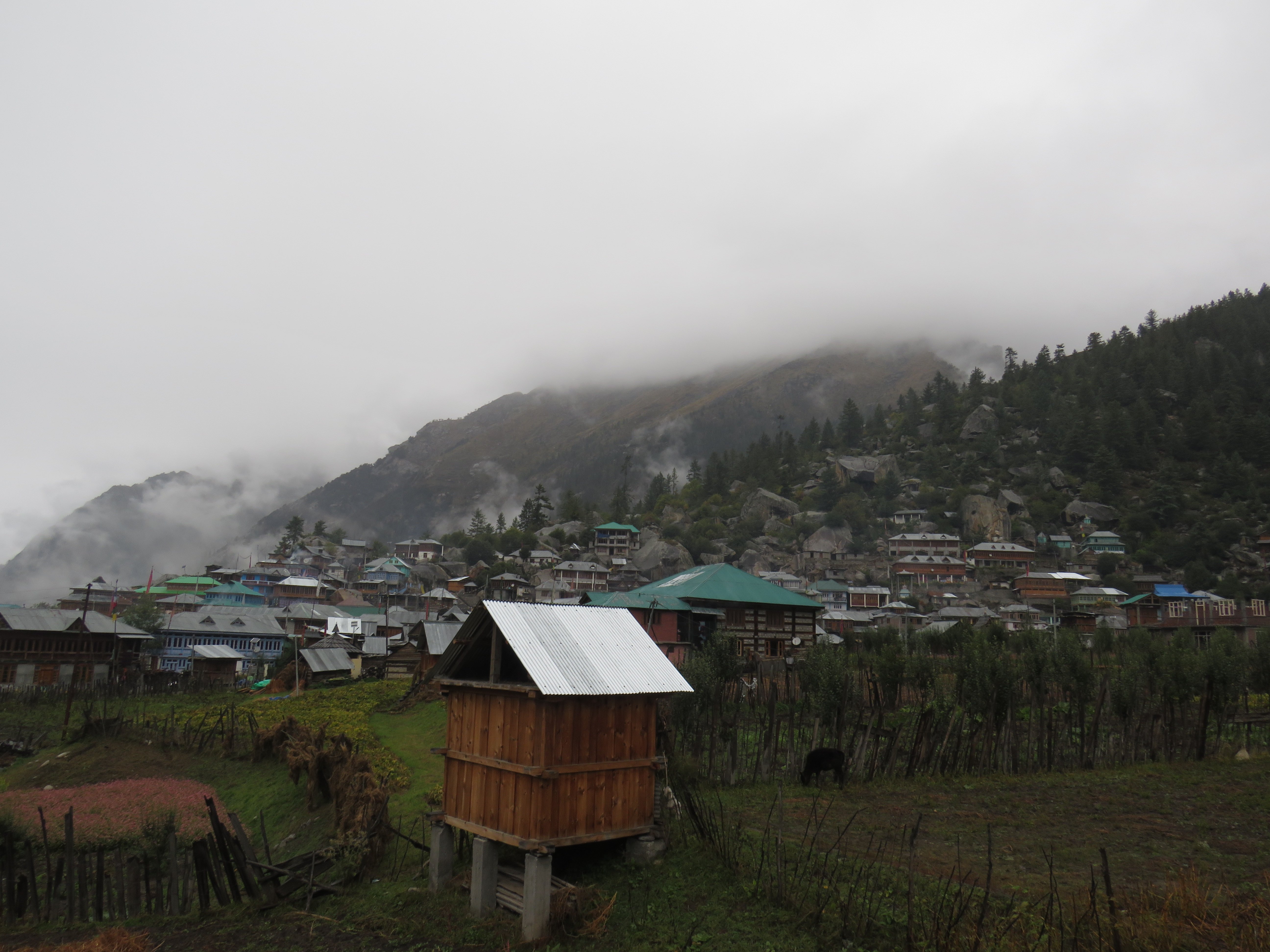 Hotel Rupin River View-酒店景观