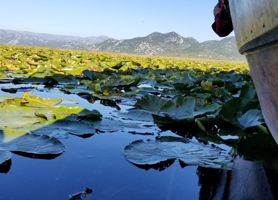 Tourist Agency Outdoor & More-维尔巴札拉必去景点