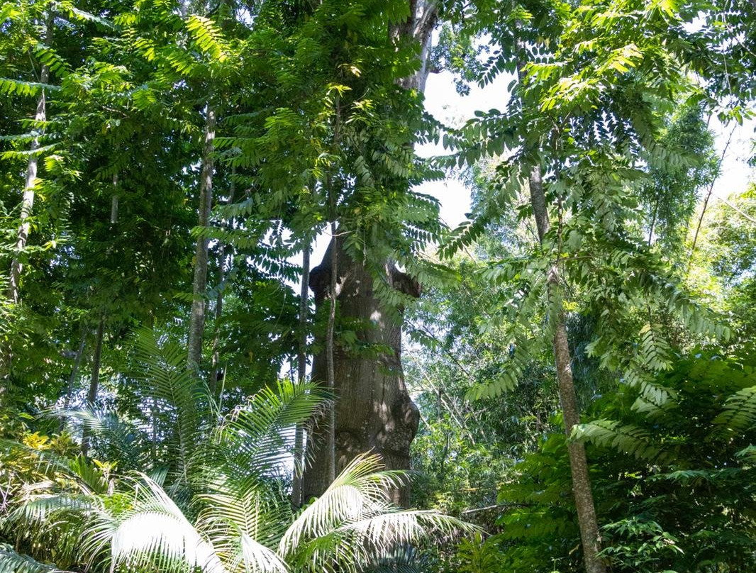 Jammin Jamaica Tours-Lucea必去景点