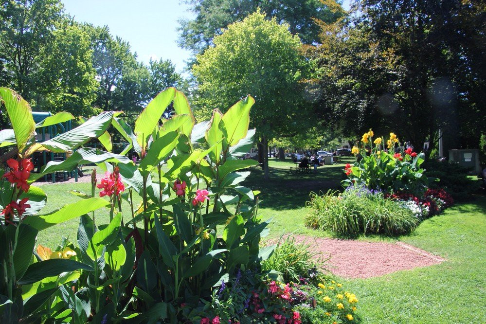 Simcoe Park-滨湖尼亚加拉必去景点