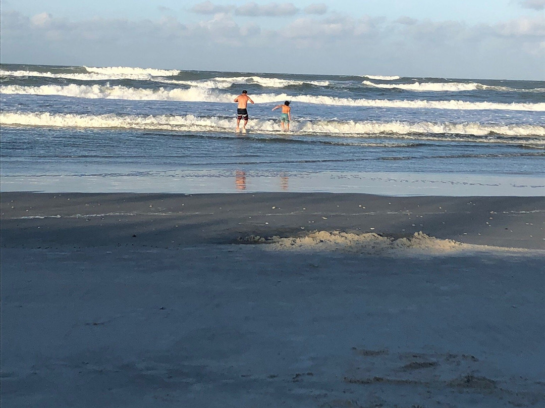 New Smyrna Beach Farmers Market景点图片