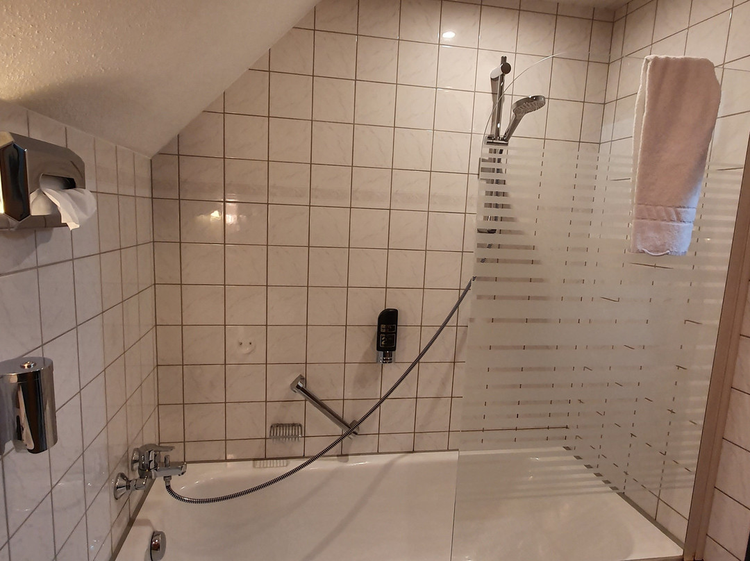 拜德法勒巴赫酒店主图