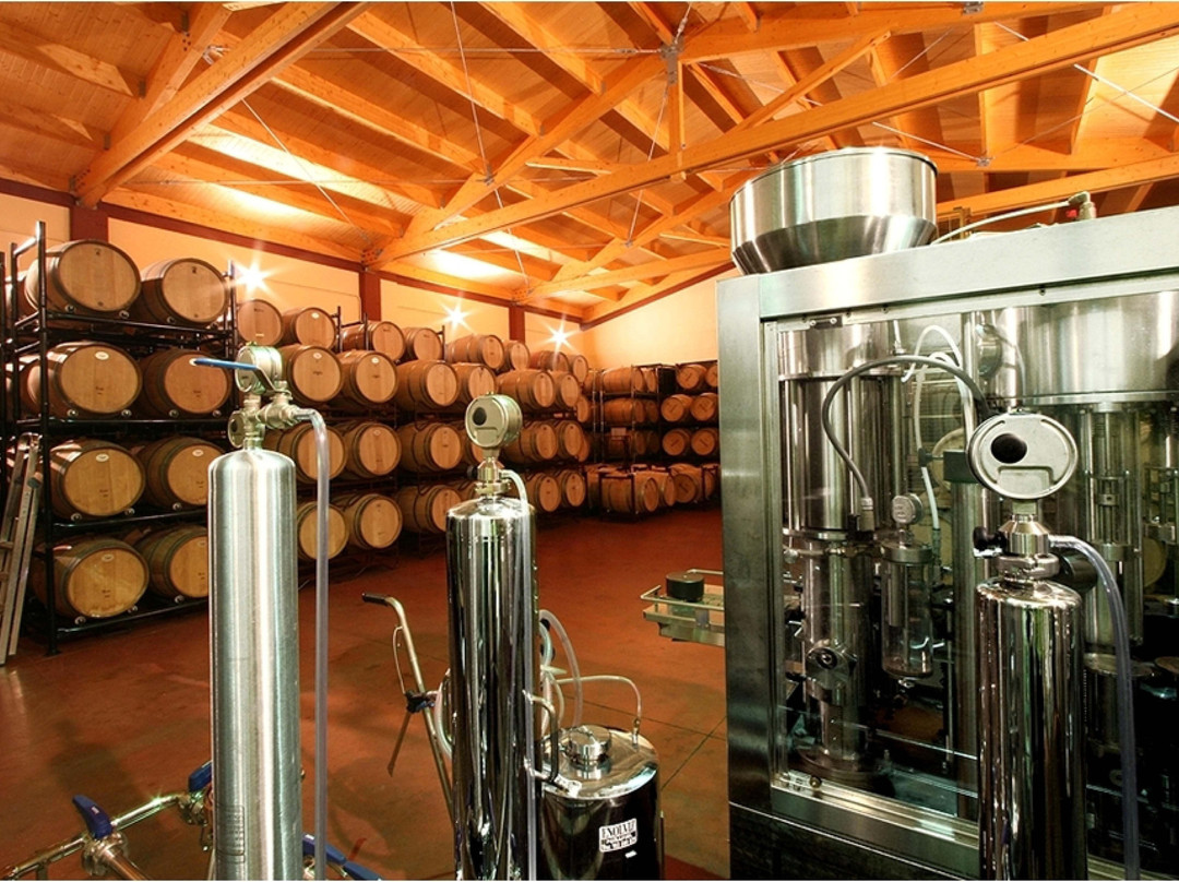 Vinedos y Bodegas Ribon景点图片