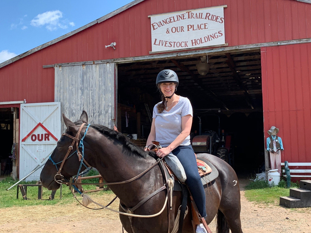 Evangeline Trail Rides-Windsor必去景点