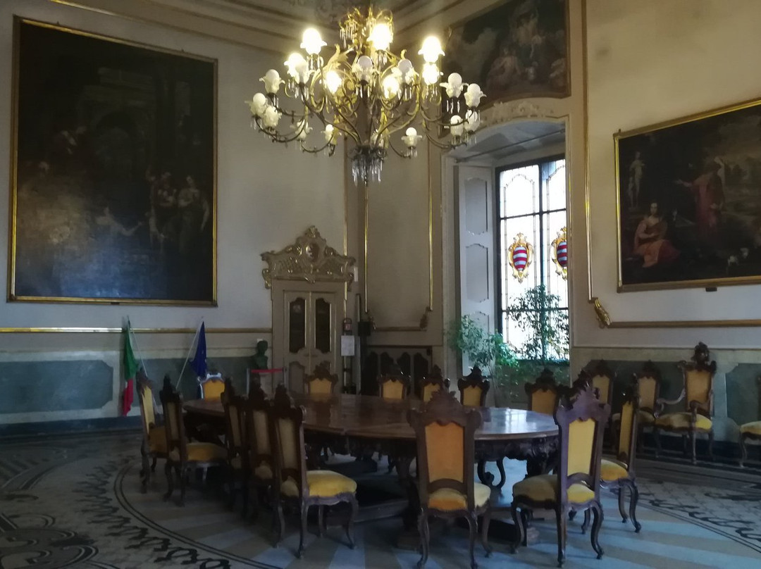 Collezione dei Violini di Palazzo Comunale景点图片