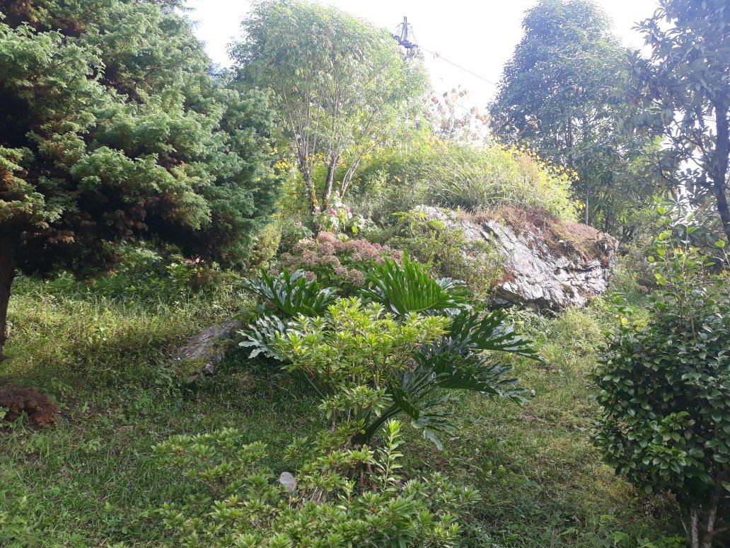 Rock Garden-Namchi必去景点