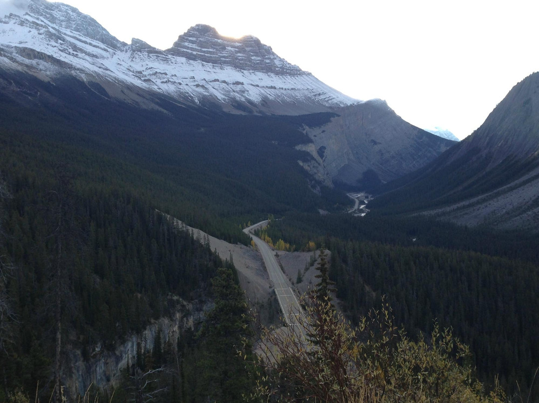 Sunwapta Pass-艾伯塔必去景点