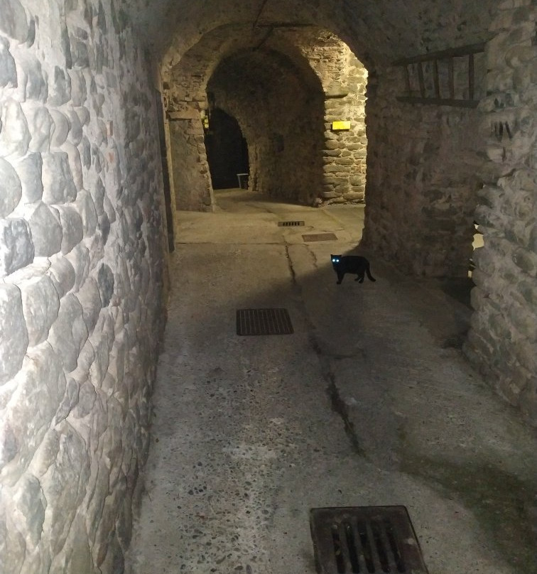 Borgo Medievale di Ponticello-Cantiere-Ponticello必去景点