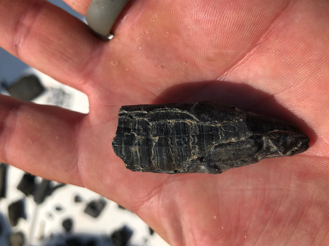 Captain Buddy's-希尔顿头岛必去景点