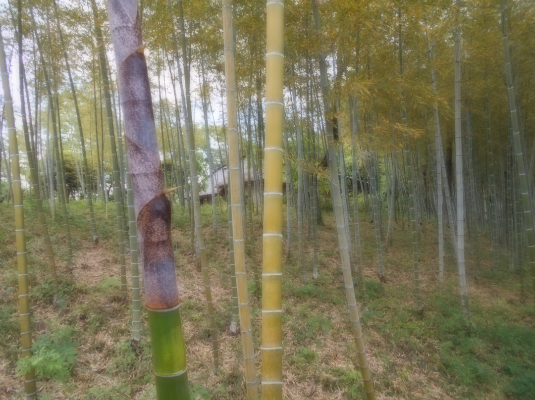 Old Arai Residence-长瀞町必去景点