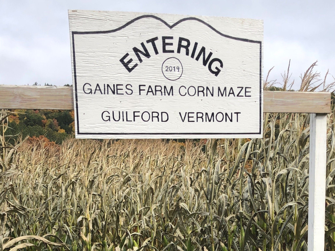 Gaines Farm景点图片