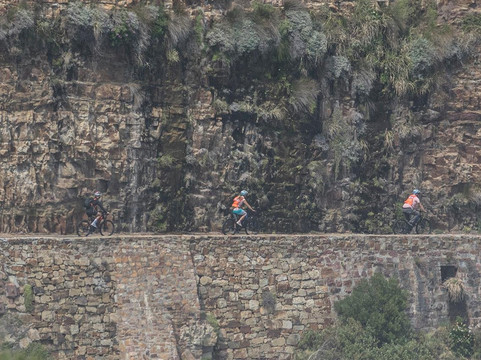 EBike Animal Ocean-木湾必去景点