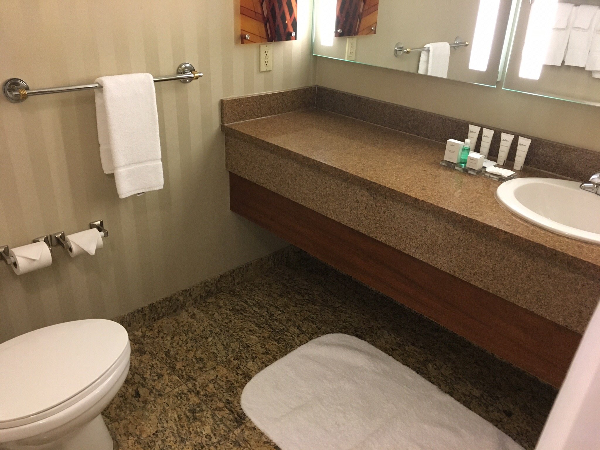 Radisson Plaza Hotel at Kalamazoo Center-官方