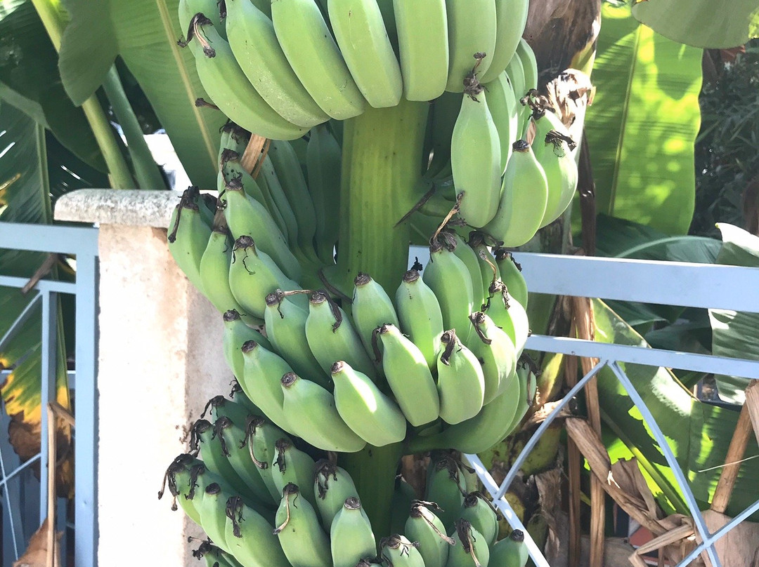 Le Kroma Villa主图